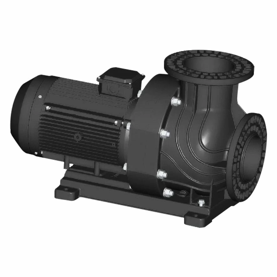 WEQ1000T, motobomba plástica horizontal, 10 HP