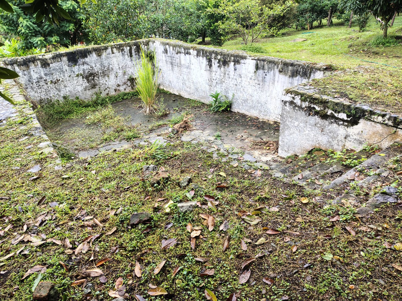 Rehabilitación de piscinas